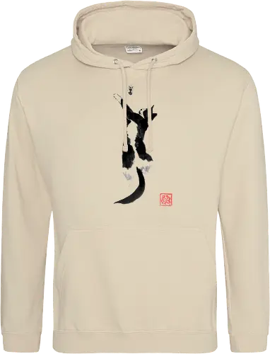 sleeping cat