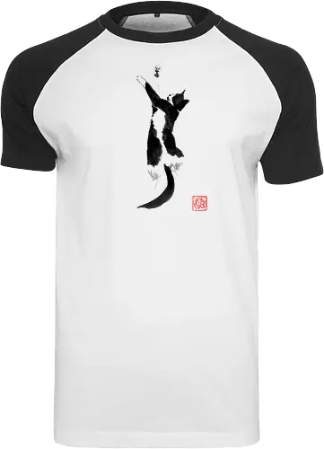 sleeping cat