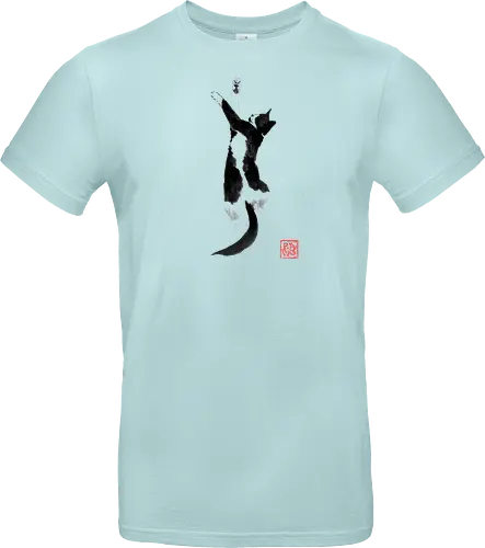 sleeping cat