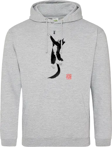sleeping cat