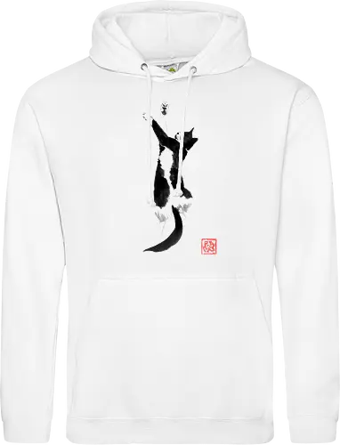 sleeping cat