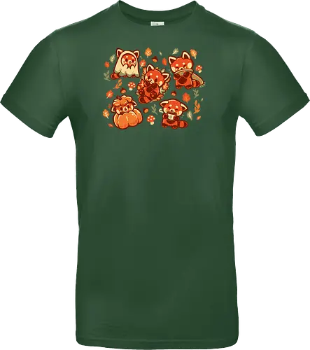 Red Panda Autumn Time