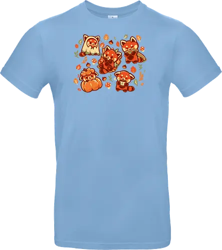 Red Panda Autumn Time