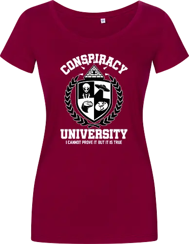 Conspiracy University Meme