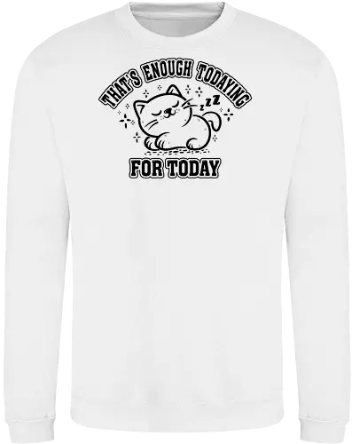 That's Enough Todaying For Today- Funny Cat