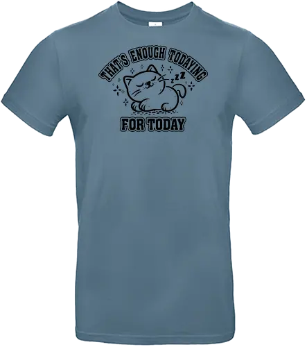 That's Enough Todaying For Today- Funny Cat - lazy, sleeping, cats, kittens, pets, animals, funny, funny cats, cute cats - Standard T-Shirt