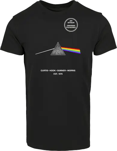 Unknown Pleasures Of The Moon