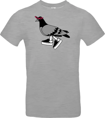 Pigeon Walks