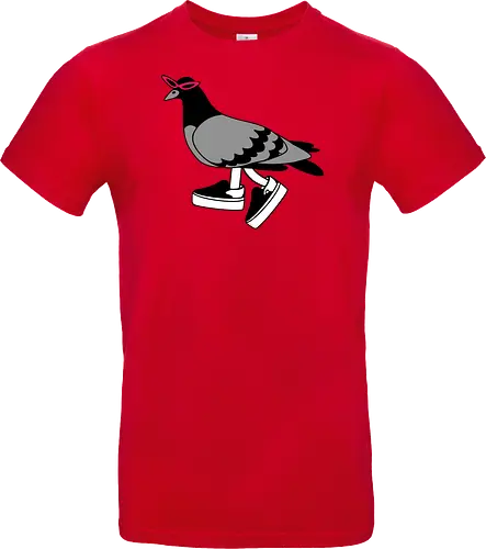 Pigeon Walks