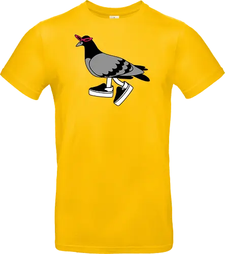 Pigeon Walks