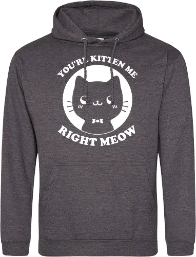 Cat Ironic Sarcastic Pun 