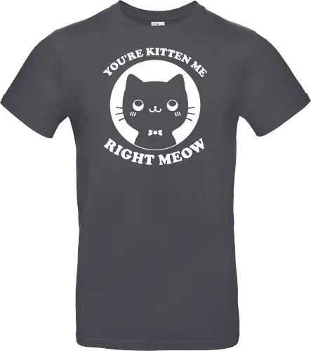 Cat Ironic Sarcastic Pun 