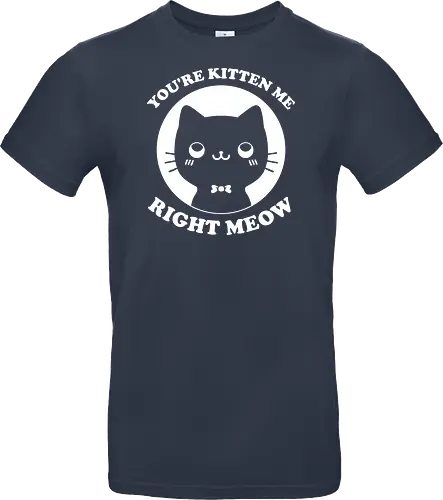 Cat Ironic Sarcastic Pun 
