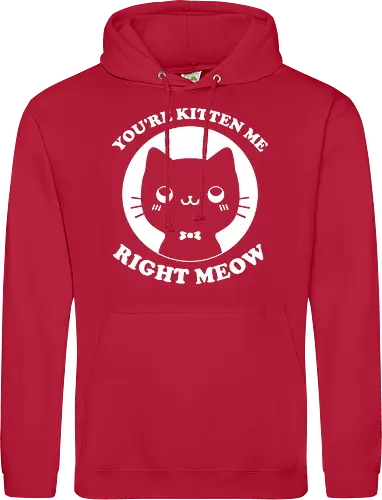 Cat Ironic Sarcastic Pun 