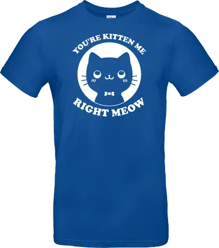 Cat Ironic Sarcastic Pun 