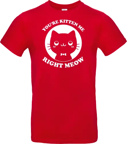 Cat Ironic Sarcastic Pun 