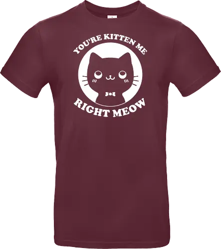 Cat Ironic Sarcastic Pun 