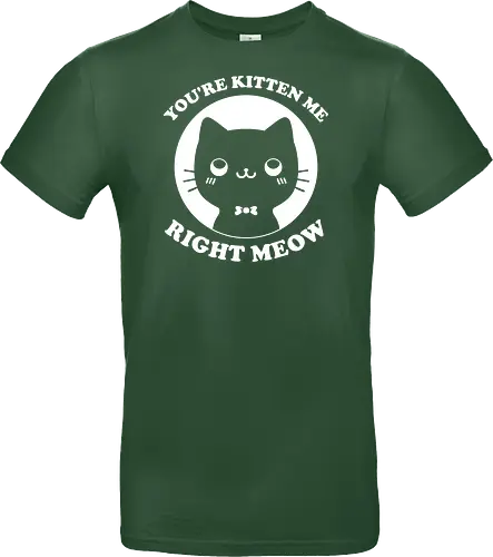 Cat Ironic Sarcastic Pun 