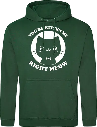 Cat Ironic Sarcastic Pun 