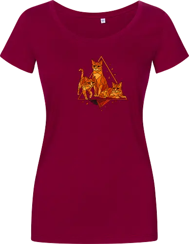 Polygon Cats