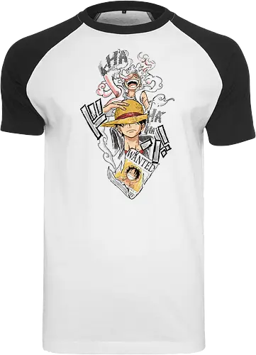 Monkey D. pirate: Gear 5 Evolution