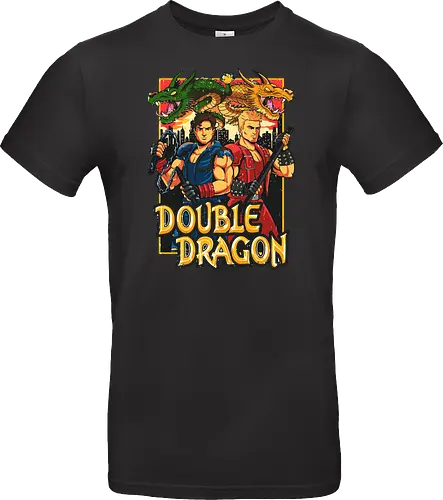 Double Dragon Style