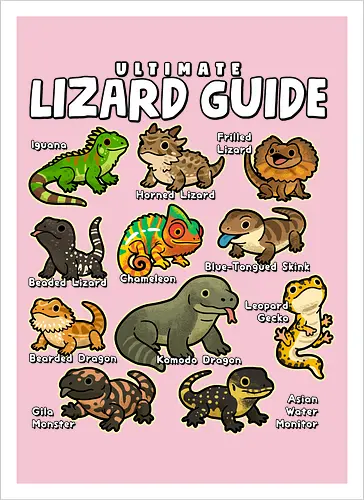 Ultimate Lizard Guide