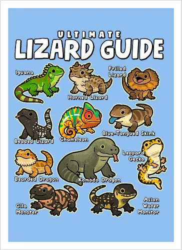 Ultimate Lizard Guide