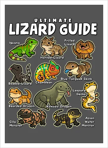 Ultimate Lizard Guide