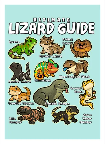 Ultimate Lizard Guide