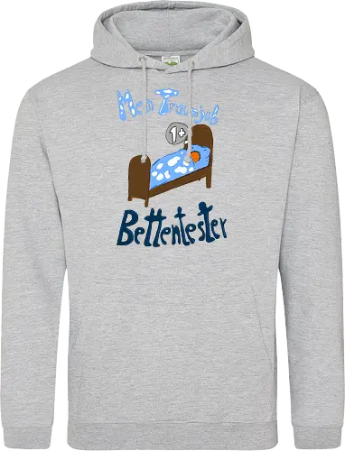 Traumjob Bettentester