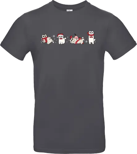 Tabby & Bailey – Catmas