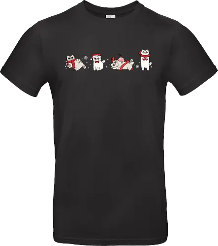 Tabby & Bailey – Catmas