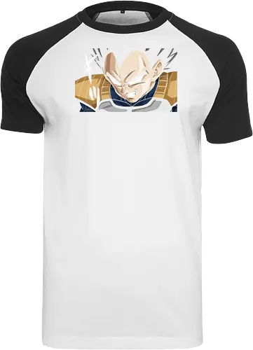  Prince Vegeta's Saiyan Rage