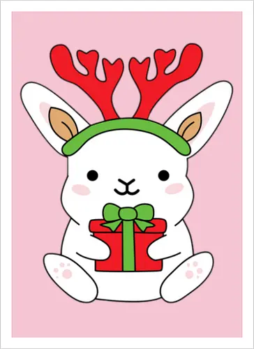  Rabbit With Gift 