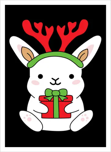  Rabbit With Gift 