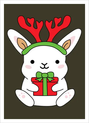  Rabbit With Gift 