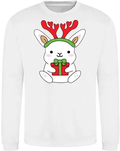  Rabbit With Gift 