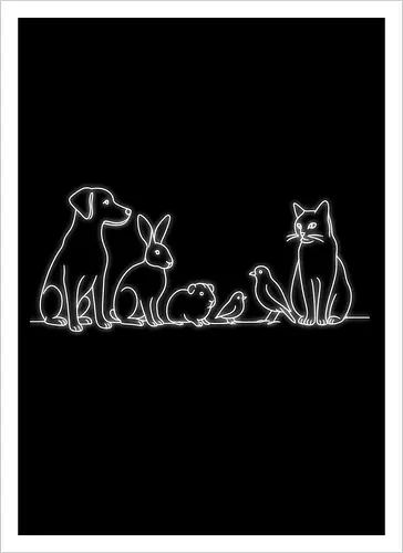 Raid4Aid (Weißer Druck)