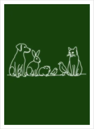 Raid4Aid (Weißer Druck)