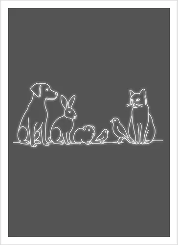 Raid4Aid (Weißer Druck)