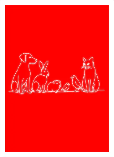 Raid4Aid (Weißer Druck)