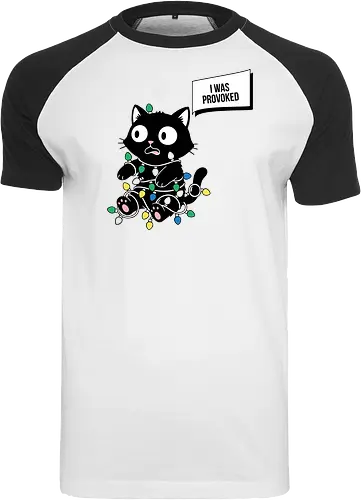  Christmas Cat: I Was Provoked