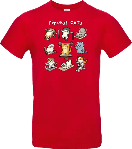 Fitness Cats