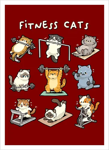 Fitness Cats