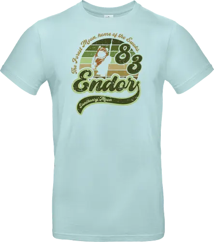 Vintage sanctuary moon