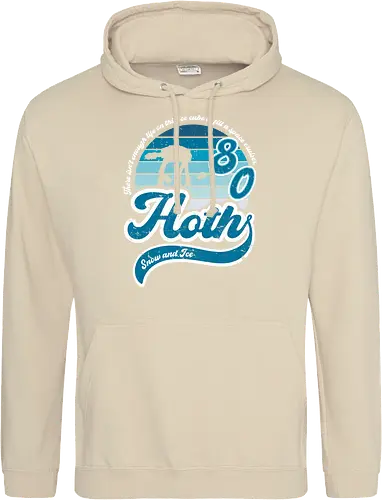 Vintage snow and ice