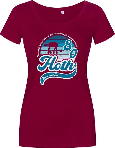 Vintage snow and ice