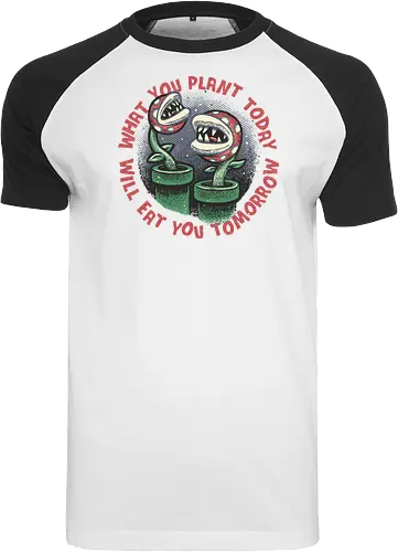 Plant Today Eat Tomorrow