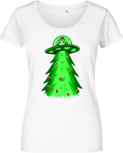 meow ter space delivery service